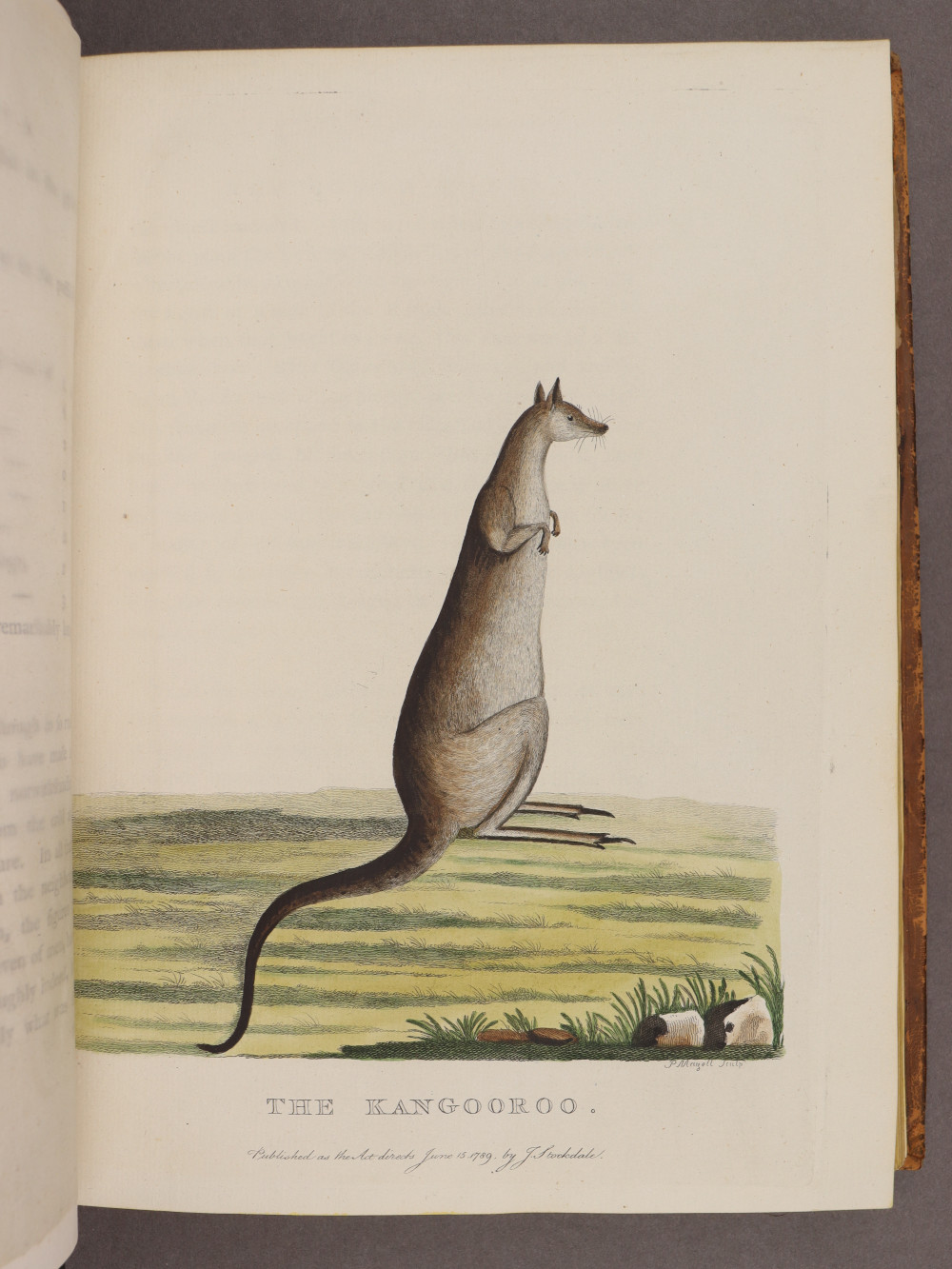 Plate 10